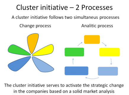 Cluster_Initiative_2_Processes