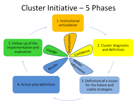 Cluster_Initiative_5_Phases