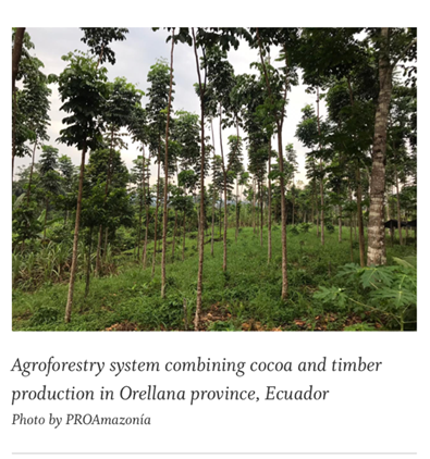 Agroforestry_system_Ecuador.jpeg